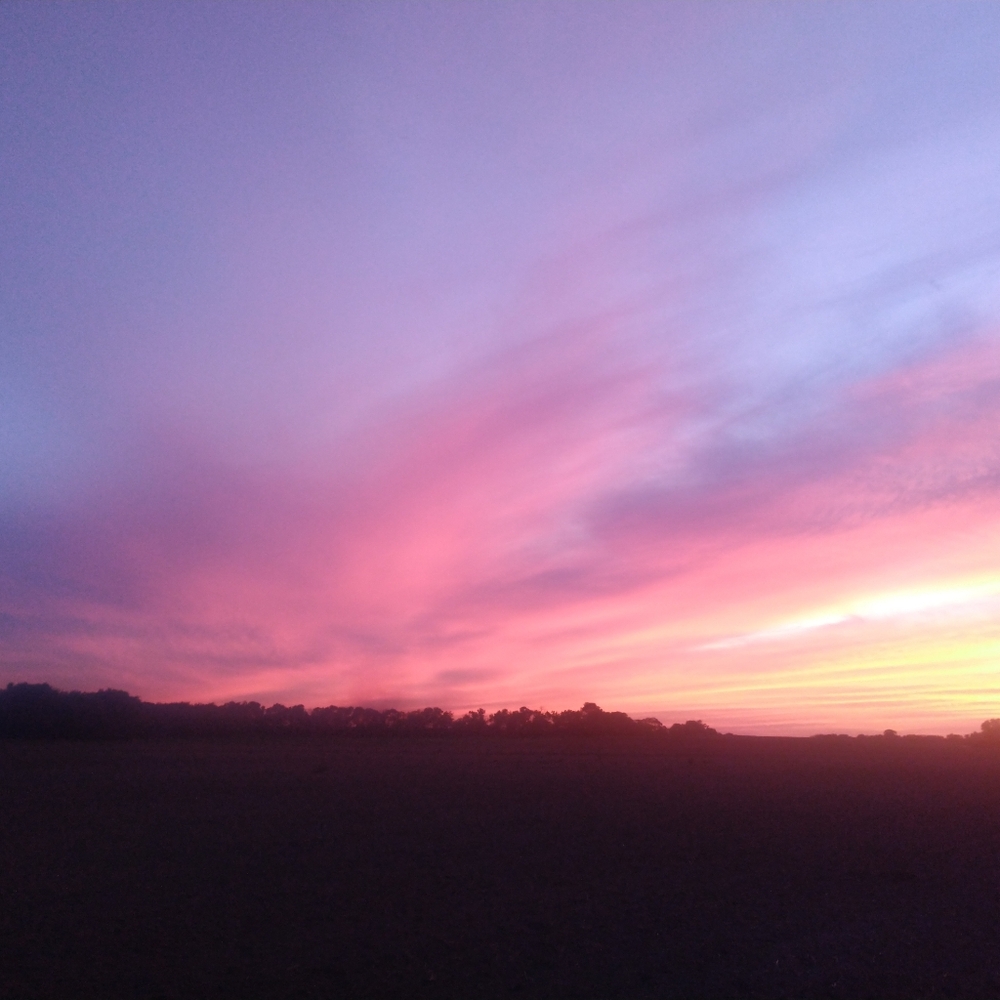 Meet your Posher, Jana - Picture 5 of 7